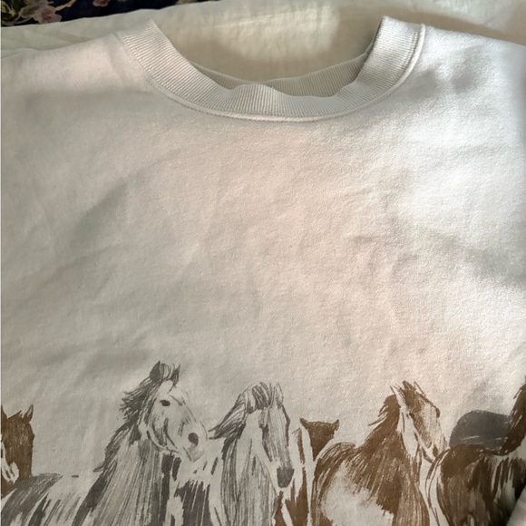Abercrombie & Fitch Horses Graphic Oversized Sunday Crew - Picture 4 of 5
